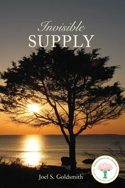 Cover of Invisible Supply