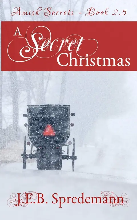 Cover of A Secret Christmas
