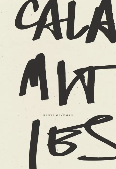 Cover of Calamities