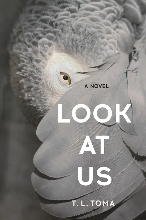Cover of Look at Us