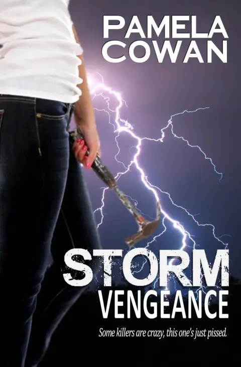Cover of Storm Vengeance