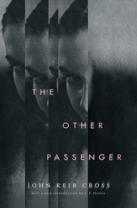 Cover of The Other Passenger