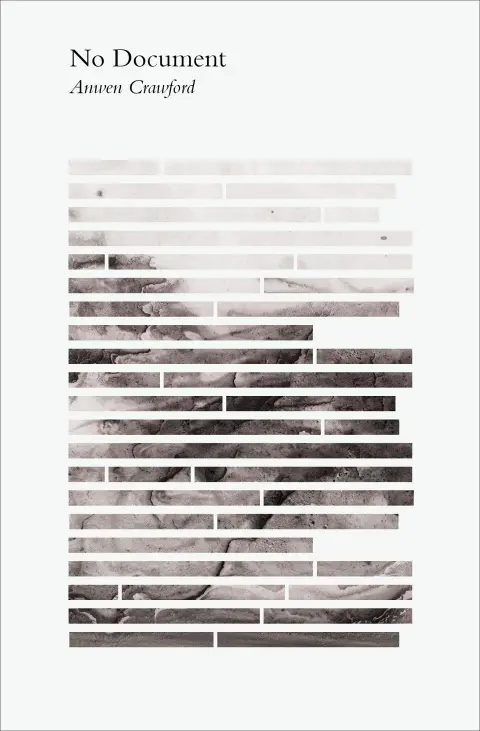 Cover of No Document