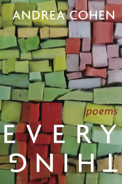 Cover of Everything