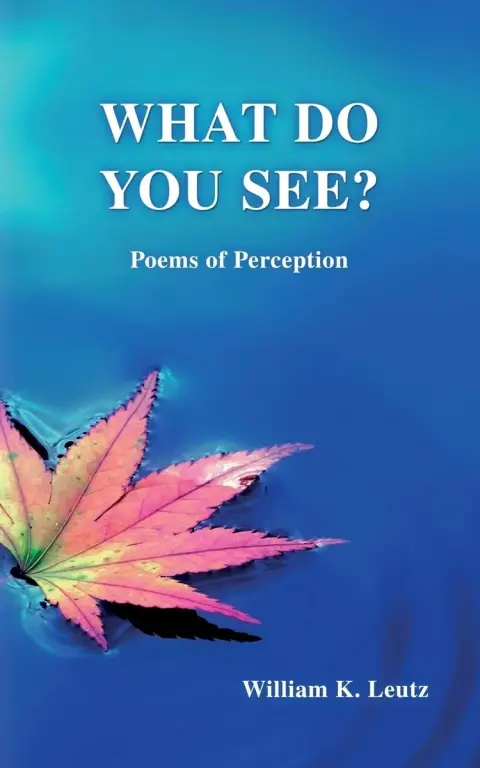 Cover of What Do You See?
