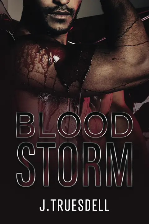 Cover of BloodStorm