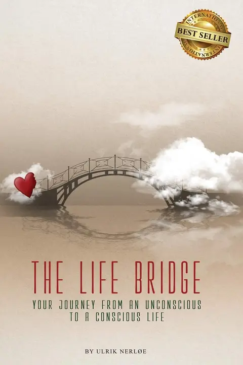 Cover of The Life Bridge