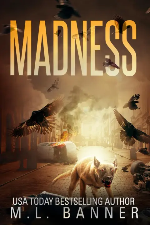 Cover of Madness