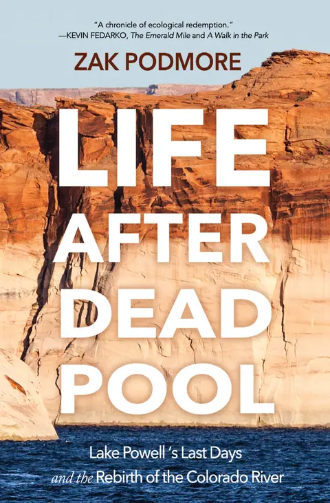 Cover of Life After Dead Pool