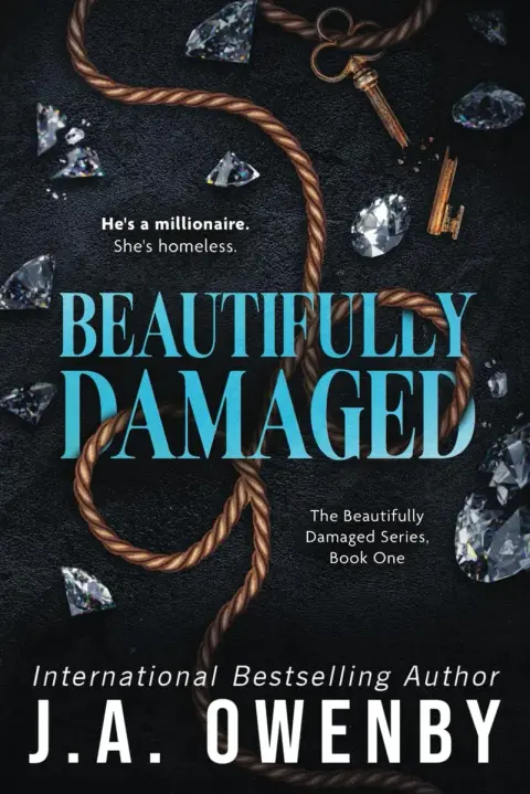 Cover of Beautifully Damaged