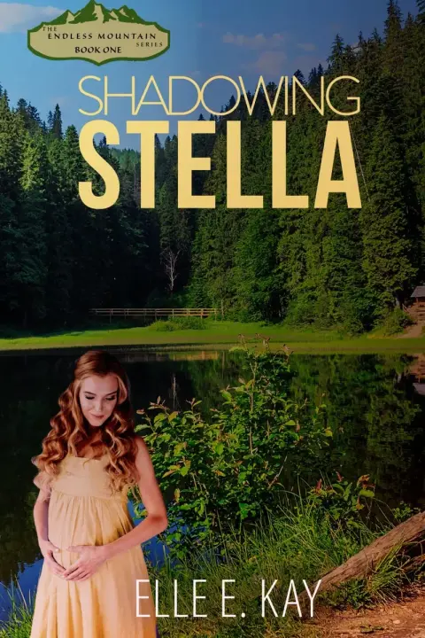 Cover of Shadowing Stella