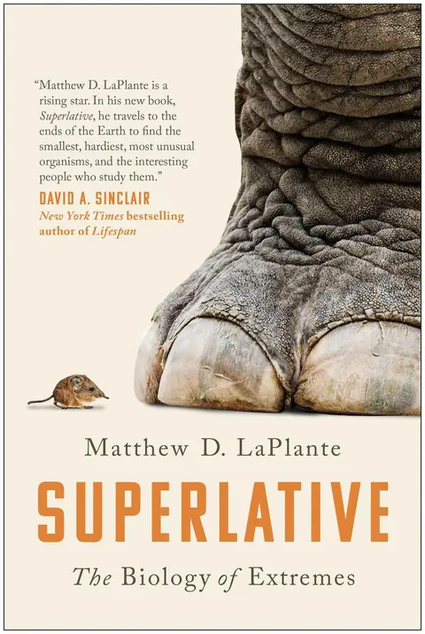 Cover of Superlative