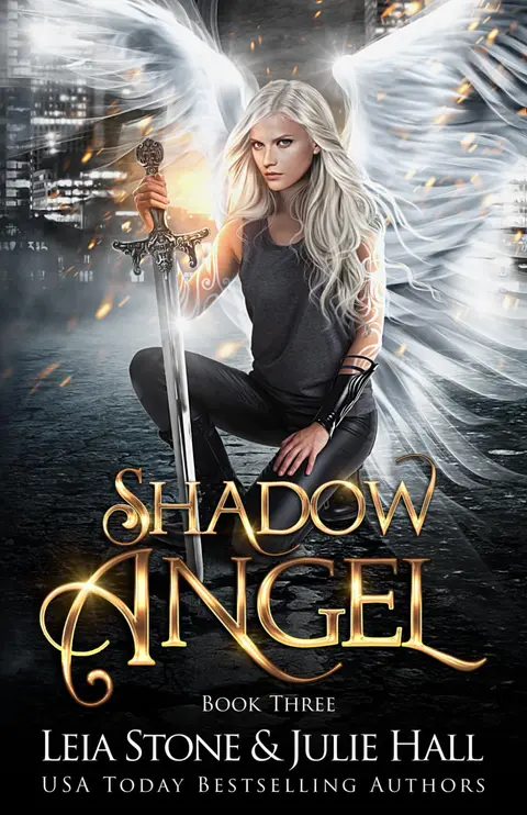 Cover of Shadow Angel