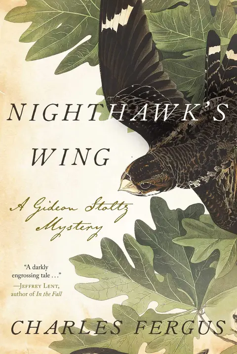 Cover of Nighthawk's Wing