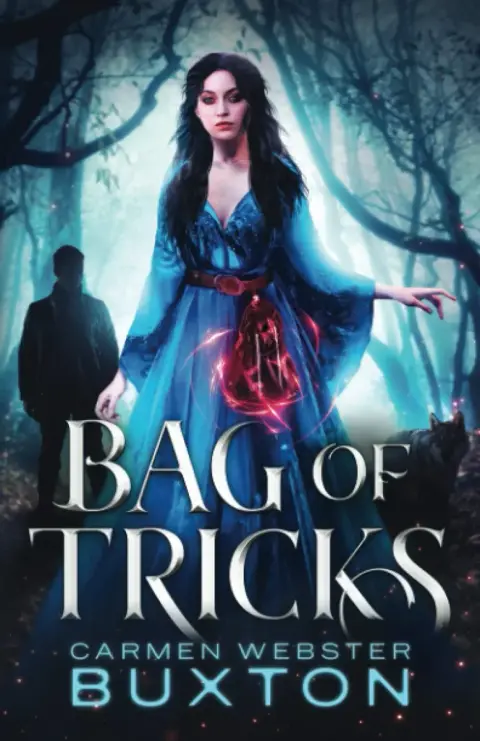 Cover of Bag of Tricks