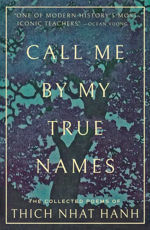 Cover of Call Me by My True Names