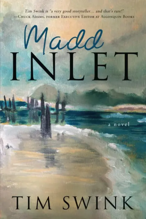 Cover of Madd Inlet