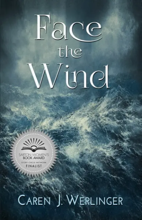 Cover of Face the Wind