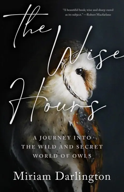 Cover of The Wise Hours