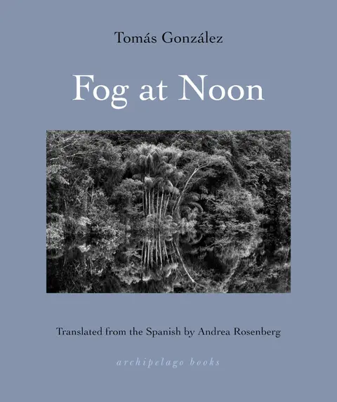 Cover of Fog at Noon