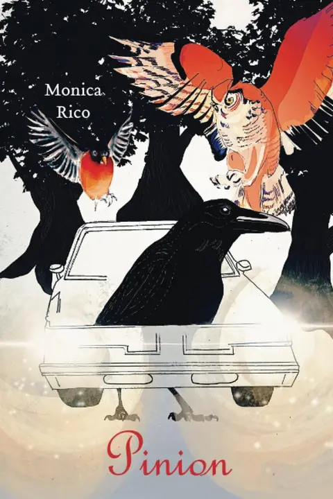 Cover of Pinion