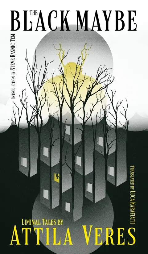 Cover of The Black Maybe