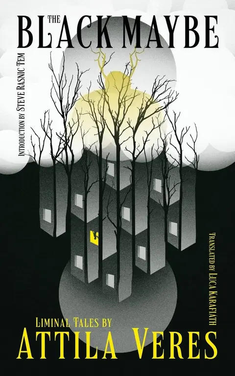 Cover of The Black Maybe