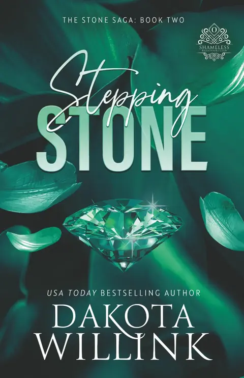 Cover of Stepping Stone