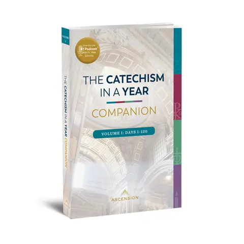 Cover of Catechism in a Year Companion