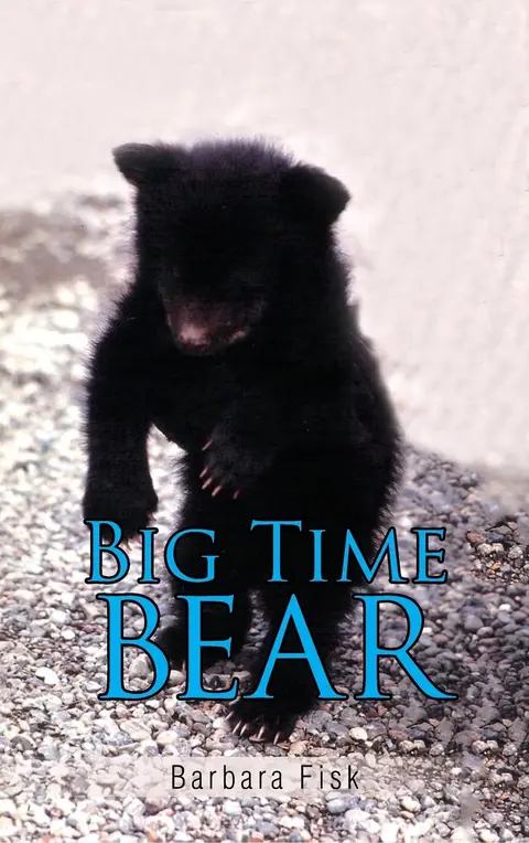 Cover of Big Time Bear