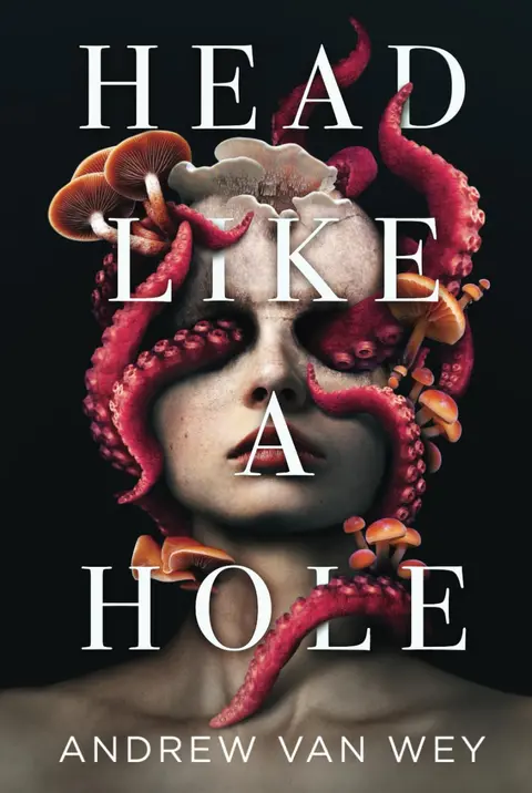 Cover of Head Like a Hole