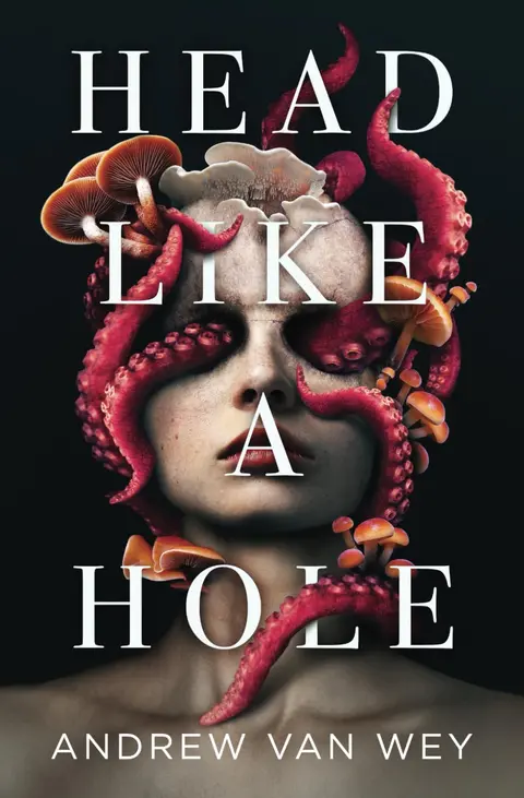 Cover of Head Like a Hole