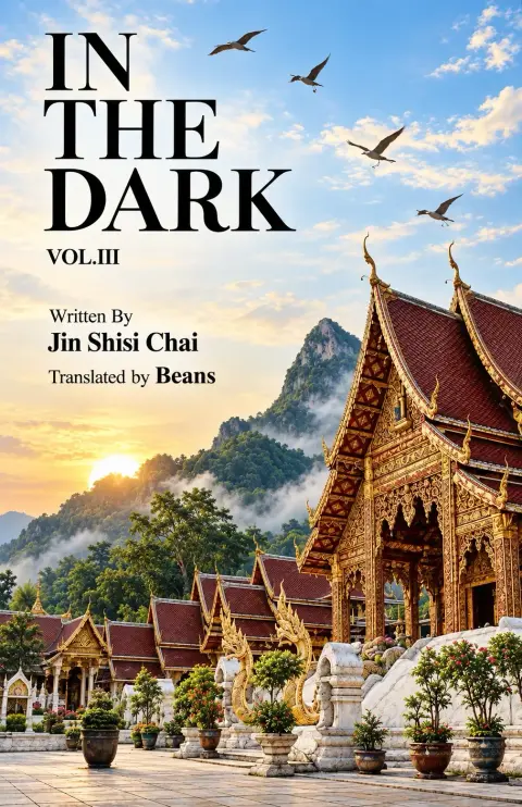 Cover of In the Dark