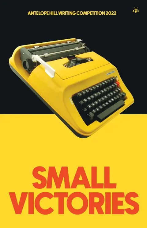 Cover of Small Victories