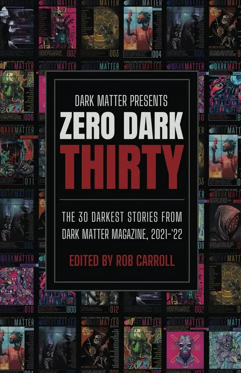 Cover of Zero Dark Thirty