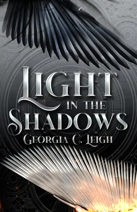 Cover of Light in the Shadows