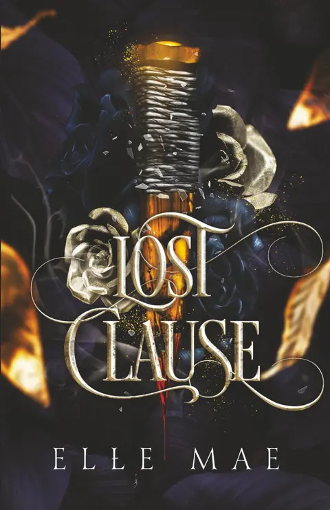 Cover of Lost Clause