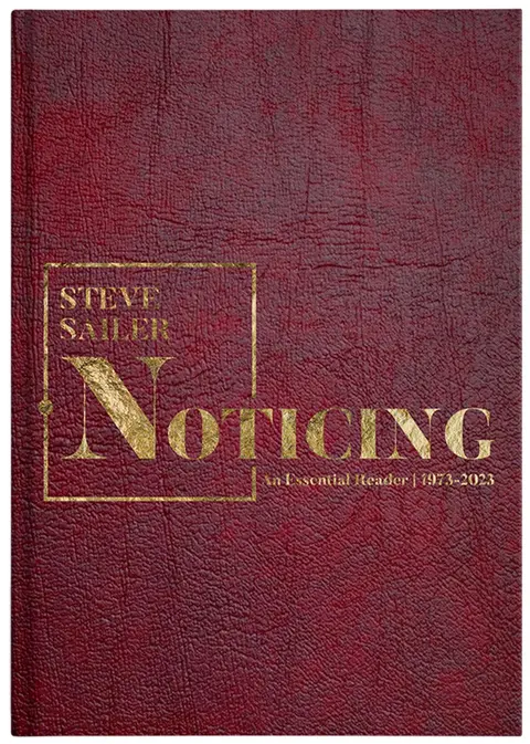 Cover of Noticing
