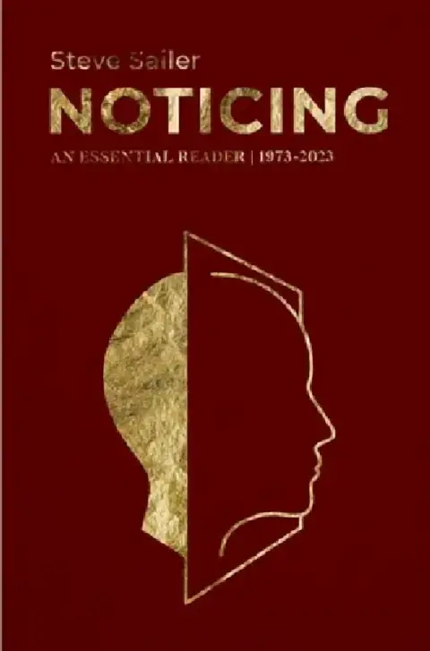 Cover of Noticing