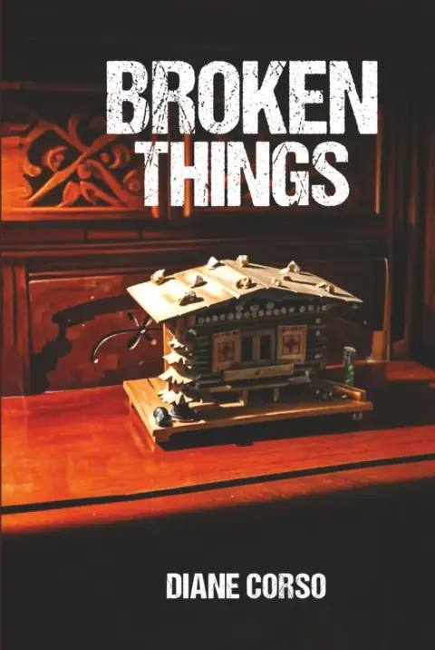 Cover of Broken Things
