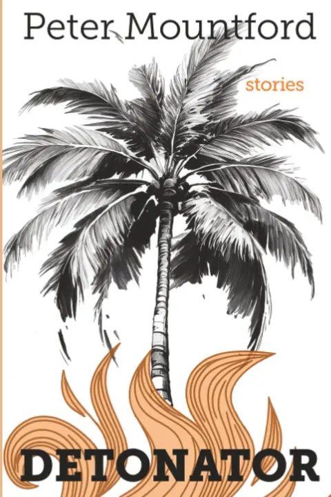 Cover of Detonator
