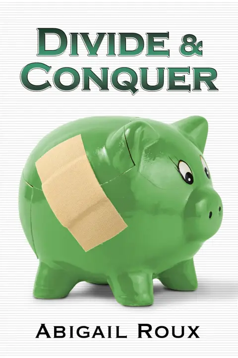 Cover of Divide & Conquer