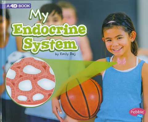 Cover of My Endocrine System