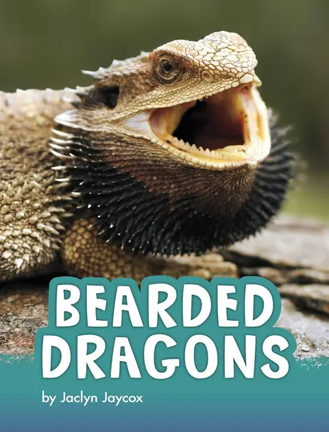Cover of Bearded Dragons