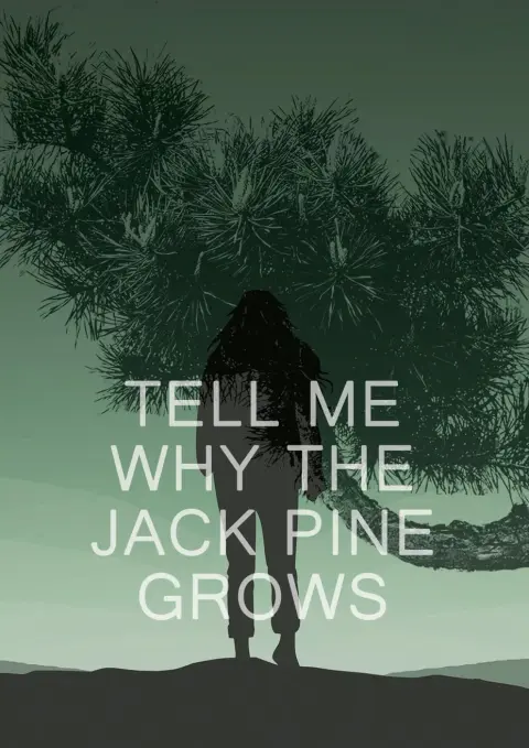 Cover of Tell Me Why the Jack Pine Grows