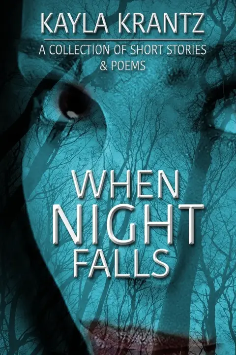 Cover of When Night Falls