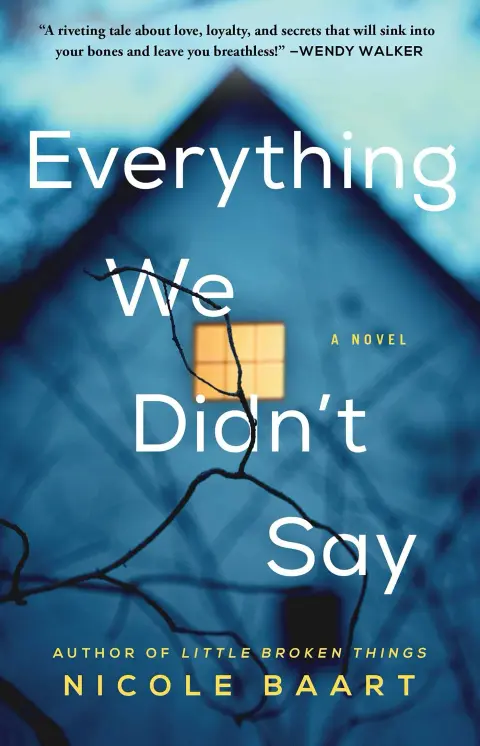 Cover of Everything We Didn't Say