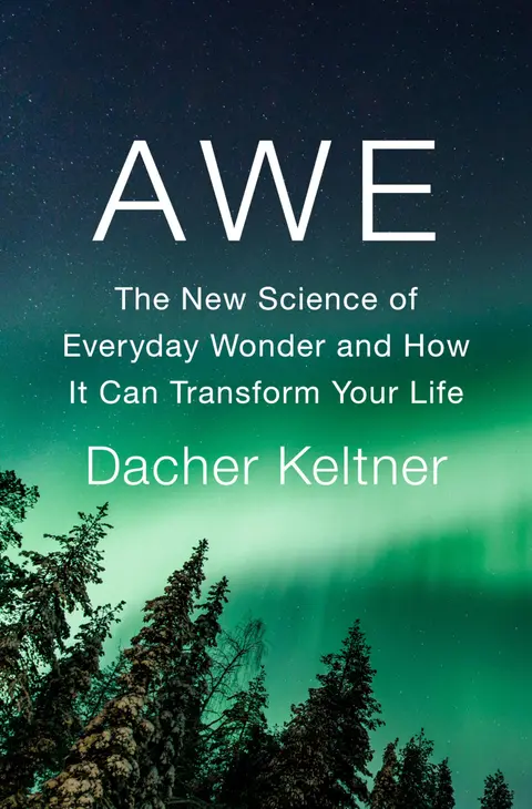 Cover of Awe