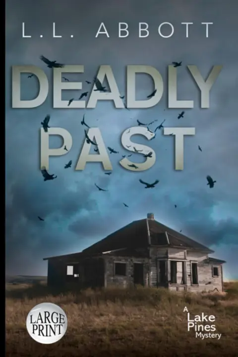 Cover of Deadly Past