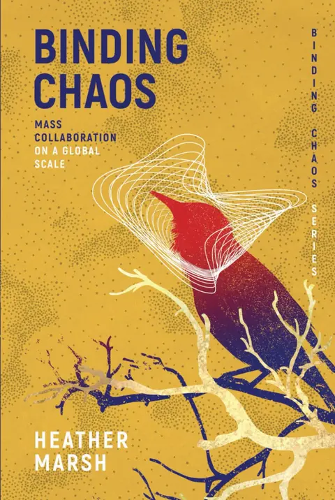 Cover of Binding Chaos